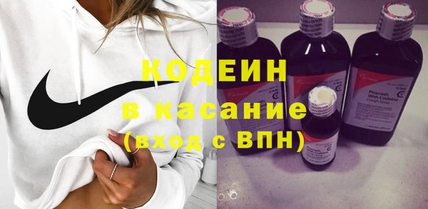 прущие грибы Краснослободск