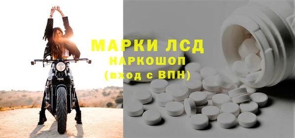 прущие грибы Краснослободск