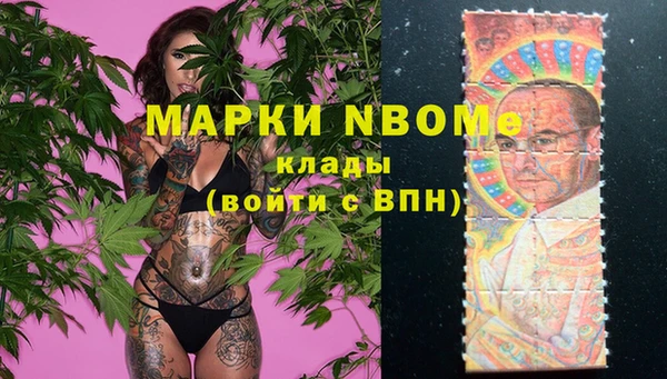 прущие грибы Краснослободск