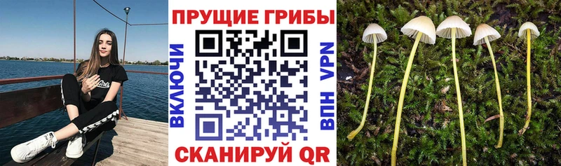 Галлюциногенные грибы ЛСД  Купить  Партизанск 