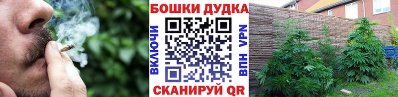 Купить закладки  Партизанск  Конопля AK-47 